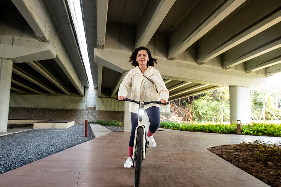 pedelec kaufen_elektrofahrrad herren_elektrische fahrräder kaufen