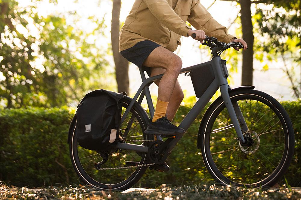 elektrisches fahrrad_e-bike auf raten_20 zoll e-bike - .jpg