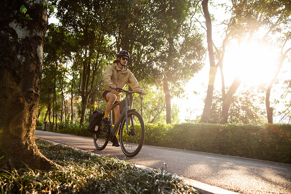 E-Bike Mid-Drive Motor vs. Hub Motor: Which One is Better?