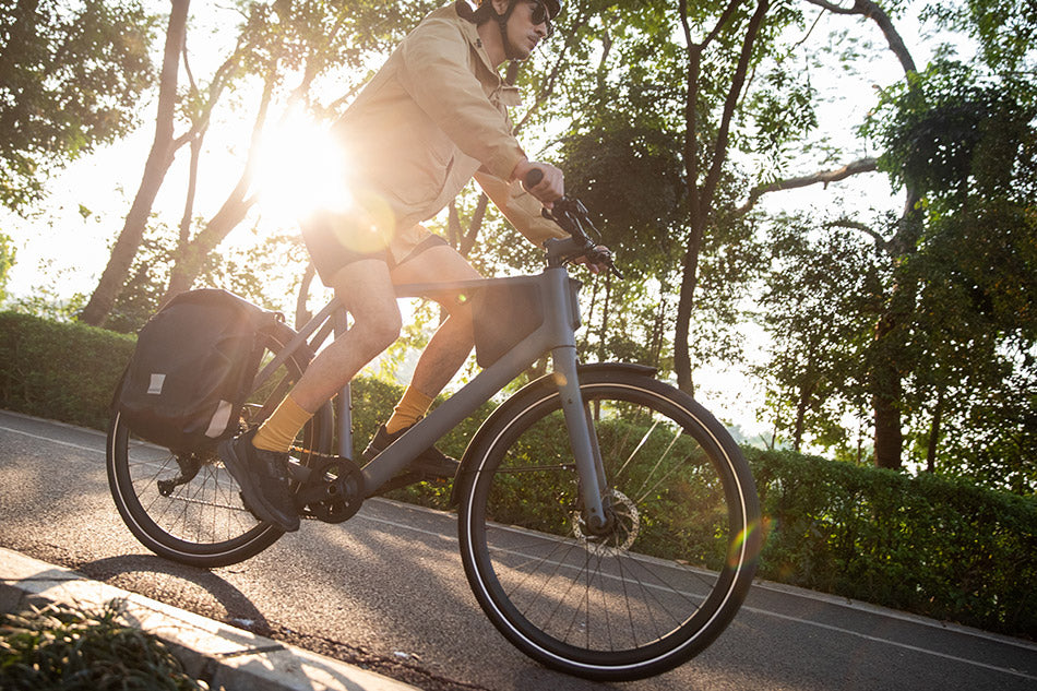 elektrisches fahrrad_e-bike auf raten_20 zoll e-bike