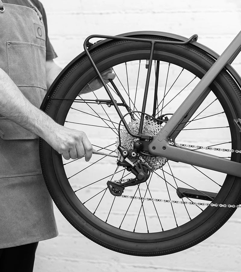 LEMMO-Experten führen e-Bike-Tests durch